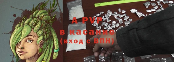 прущие крисы Баксан
