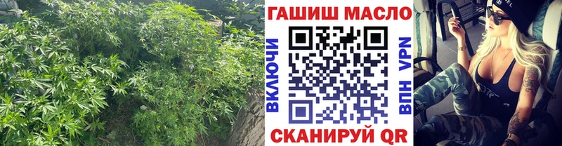 ТГК Wax  kraken ТОР  Сосновый Бор 