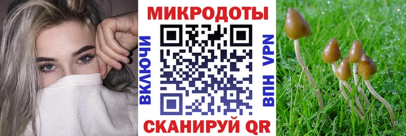 Галлюциногенные грибы прущие грибы  Сосновый Бор 