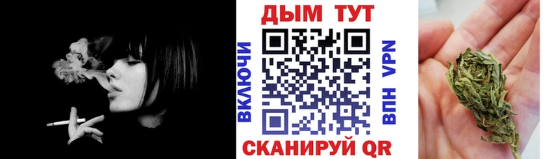 Бошки Шишки марихуана  Сосновый Бор 
